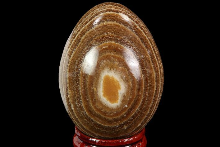 Polished, Banded Aragonite Egg - Morocco #98410